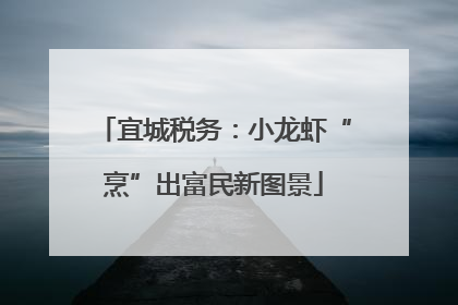 宜城税务：小龙虾“烹”出富民新图景