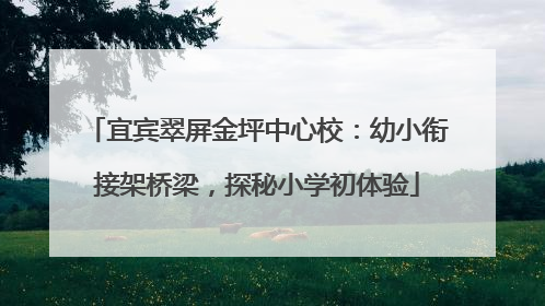 宜宾翠屏金坪中心校：幼小衔接架桥梁，探秘小学初体验