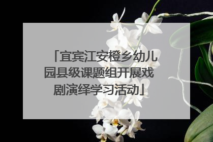 宜宾江安橙乡幼儿园县级课题组开展戏剧演绎学习活动
