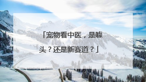 宠物看中医，是噱头？还是新赛道？