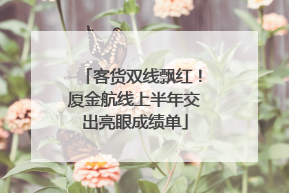 客货双线飘红！厦金航线上半年交出亮眼成绩单