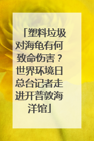 塑料垃圾对海龟有何致命伤害？世界环境日总台记者走进开普敦海洋馆