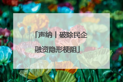 声纳丨破除民企融资隐形梗阻