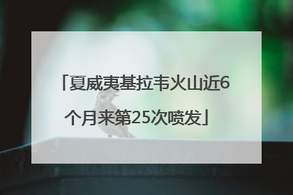 夏威夷基拉韦火山近6个月来第25次喷发