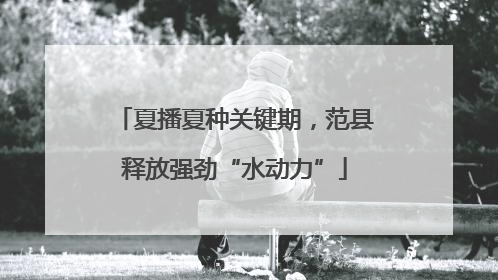 夏播夏种关键期，范县释放强劲“水动力”