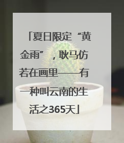 夏日限定“黄金雨”，耿马仿若在画里——有一种叫云南的生活之365天
