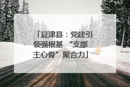 夏津县：党建引领强根基 “支部主心骨”聚合力