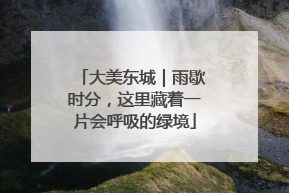 大美东城｜雨歇时分，这里藏着一片会呼吸的绿境