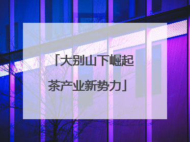 大别山下崛起茶产业新势力