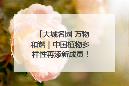 大城名园 万物和谐｜中国植物多样性再添新成员！它只在西藏墨脱