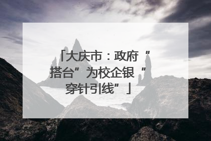 大庆市：政府“搭台”为校企银“穿针引线”