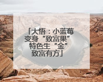 大悟：小蓝莓变身“致富果” 特色生“金”致富有方