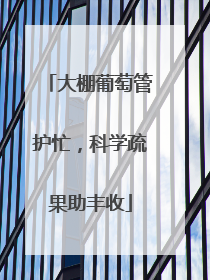 大棚葡萄管护忙，科学疏果助丰收