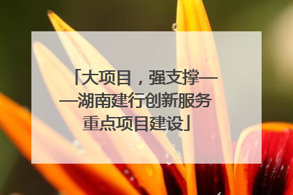 大项目，强支撑——湖南建行创新服务重点项目建设