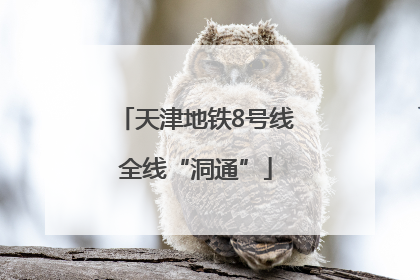 天津地铁8号线全线“洞通”