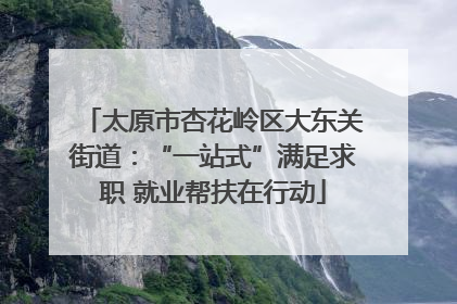 太原市杏花岭区大东关街道：“一站式”满足求职 就业帮扶在行动