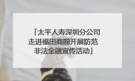 太平人寿深圳分公司走进福田商圈开展防范非法金融宣传活动