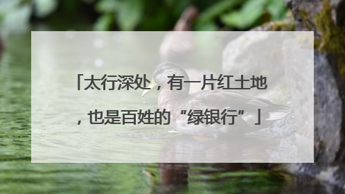 太行深处，有一片红土地，也是百姓的“绿银行”