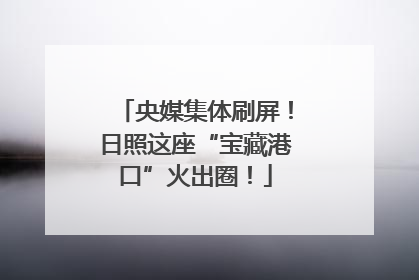 央媒集体刷屏！日照这座“宝藏港口”火出圈！