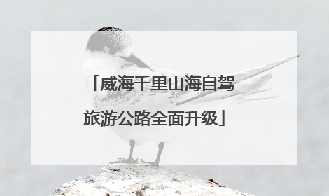 威海千里山海自驾旅游公路全面升级
