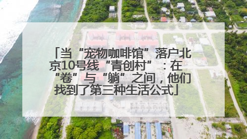 当“宠物咖啡馆”落户北京10号线“青创村”：在“卷”与“躺”之间，他们找到了第三种生活公式