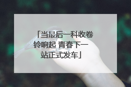 当最后一科收卷铃响起 青春下一站正式发车