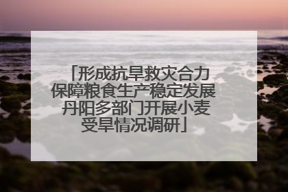 形成抗旱救灾合力 保障粮食生产稳定发展 丹阳多部门开展小麦受旱情况调研