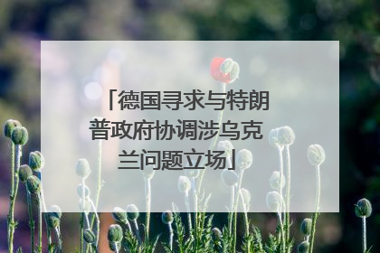 德国寻求与特朗普政府协调涉乌克兰问题立场