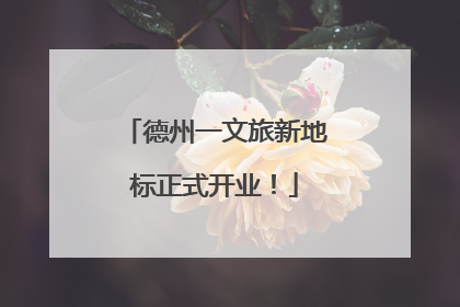 德州一文旅新地标正式开业！