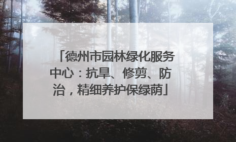 德州市园林绿化服务中心：抗旱、修剪、防治，精细养护保绿荫