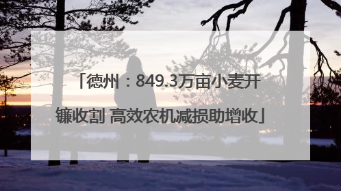 德州：849.3万亩小麦开镰收割 高效农机减损助增收