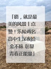 德，就是最美的风景丨点赞！乐陵两名高中生深夜拾金不昧 彰显青春正能量