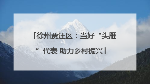 徐州贾汪区：当好“头雁”代表 助力乡村振兴