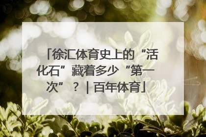 徐汇体育史上的“活化石”藏着多少“第一次”？｜百年体育