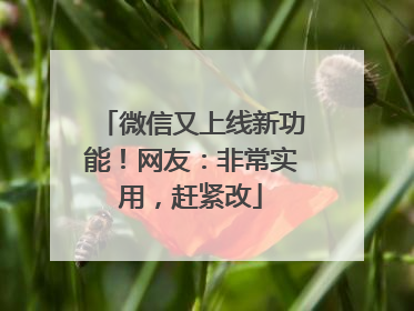微信又上线新功能！网友：非常实用，赶紧改