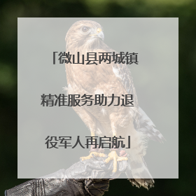 微山县两城镇精准服务助力退役军人再启航