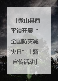 微山县西平镇开展“全国防灾减灾日”主题宣传活动