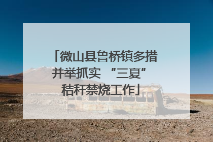 微山县鲁桥镇多措并举抓实 “三夏” 秸秆禁烧工作