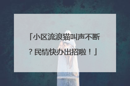 小区流浪猫叫声不断？民情快办出招啦！