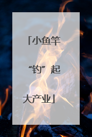 小鱼竿“钓”起大产业
