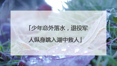 少年意外落水，退役军人纵身跳入湖中救人