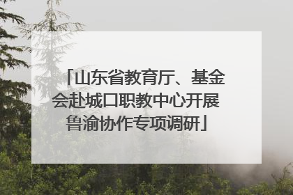 山东省教育厅、基金会赴城口职教中心开展鲁渝协作专项调研