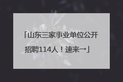 山东三家事业单位公开招聘114人！速来→