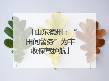 山东德州：“田间警务”为丰收保驾护航