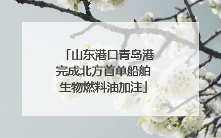 山东港口青岛港完成北方首单船舶生物燃料油加注
