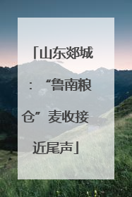 山东郯城：“鲁南粮仓”麦收接近尾声