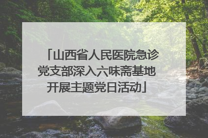山西省人民医院急诊党支部深入六味斋基地开展主题党日活动