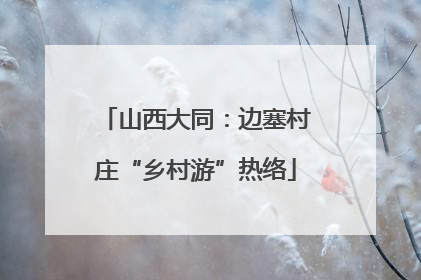 山西大同：边塞村庄“乡村游”热络