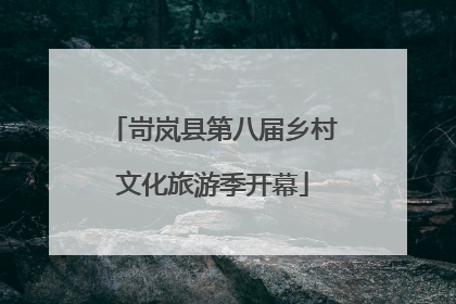 岢岚县第八届乡村文化旅游季开幕