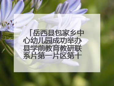 岳西县包家乡中心幼儿园成功举办县学前教育教研联系片第一片区第十三次专题研讨会